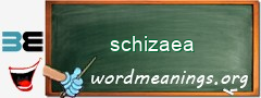 WordMeaning blackboard for schizaea